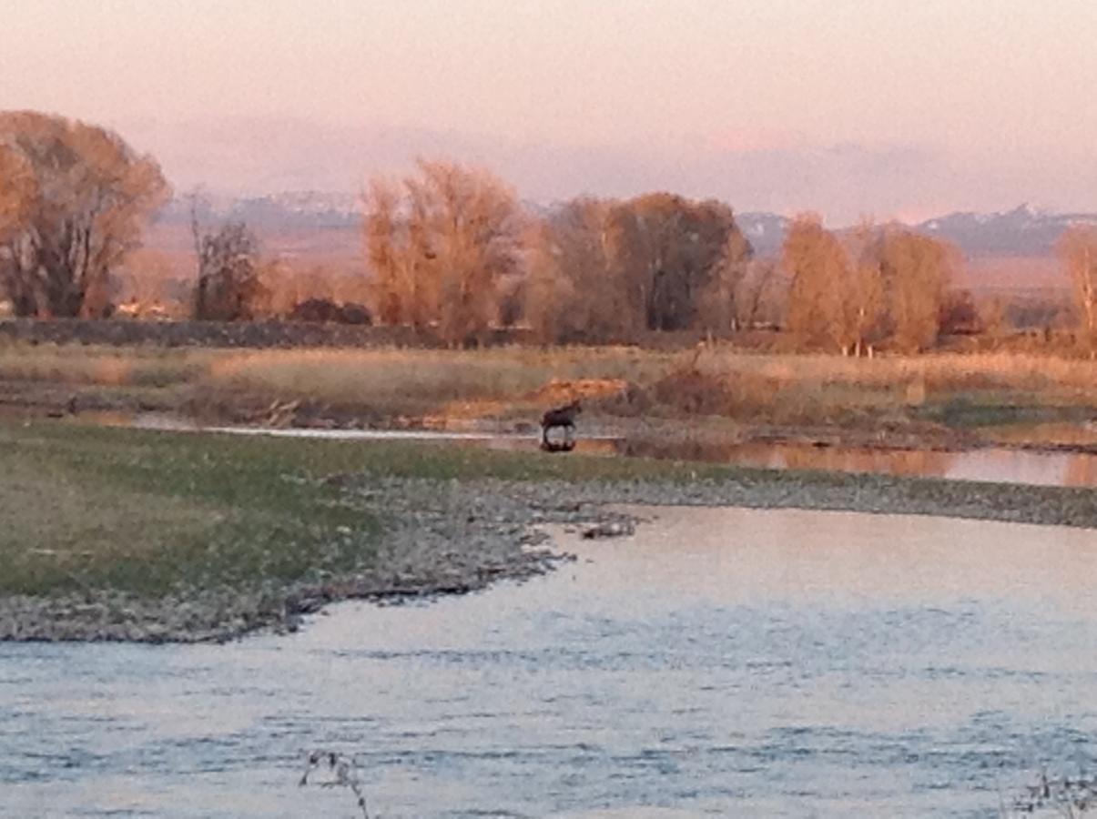 Blue Heron Inn Bed And Breakfast Rexburg Esterno foto